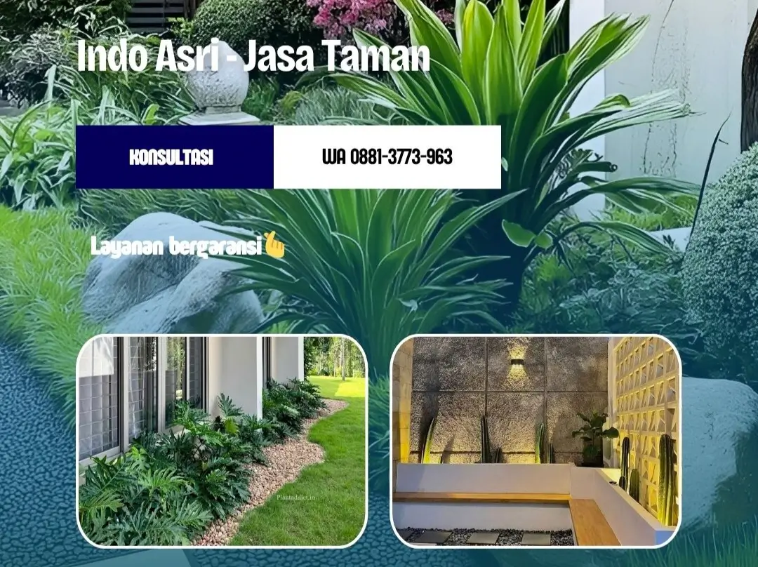 Projects Jasa Taman Solo