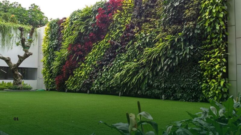 Vertical Garden 2