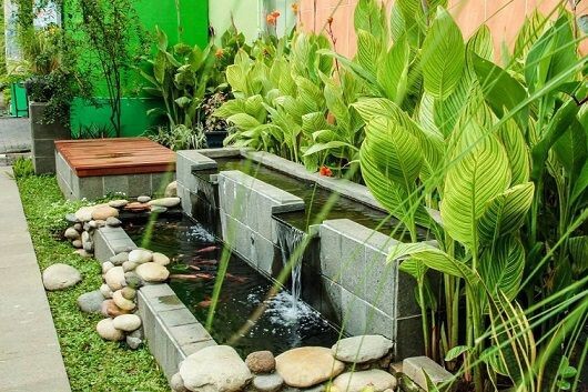 4 Kategori Tanaman Air